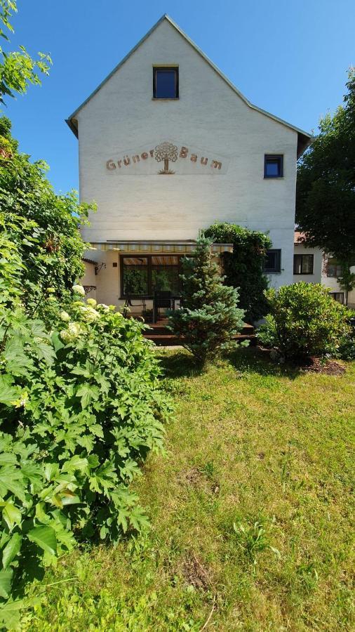 Gasthof Grüner Baum Kirchberg am Wechsel Exterior foto