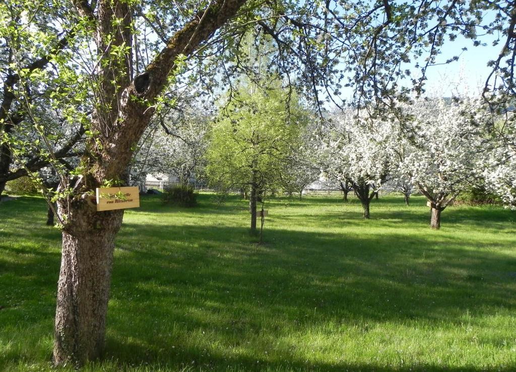 Gasthof Grüner Baum Kirchberg am Wechsel Exterior foto