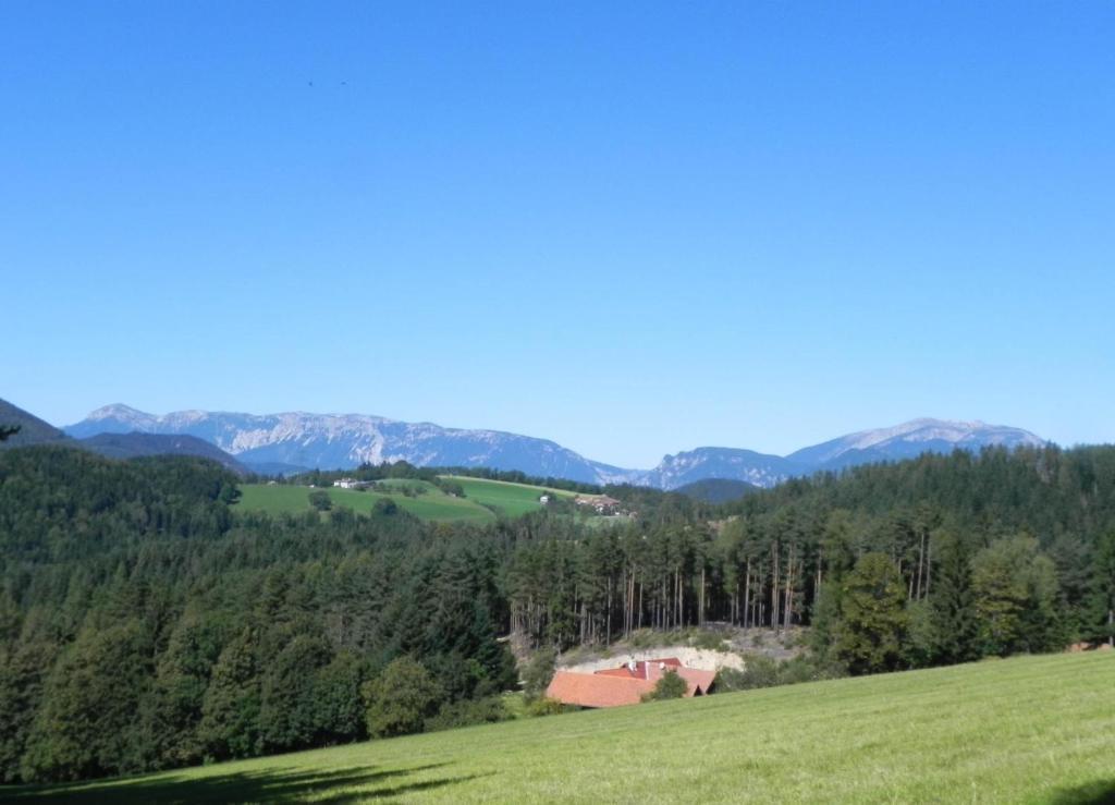 Gasthof Grüner Baum Kirchberg am Wechsel Exterior foto