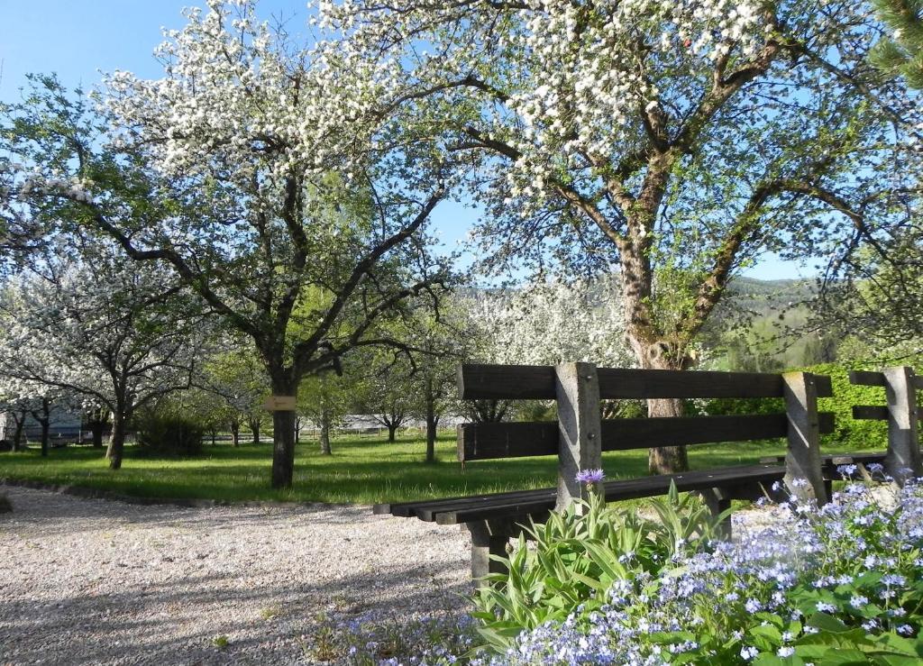Gasthof Grüner Baum Kirchberg am Wechsel Exterior foto